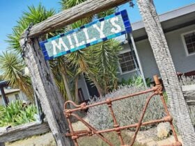 Milly