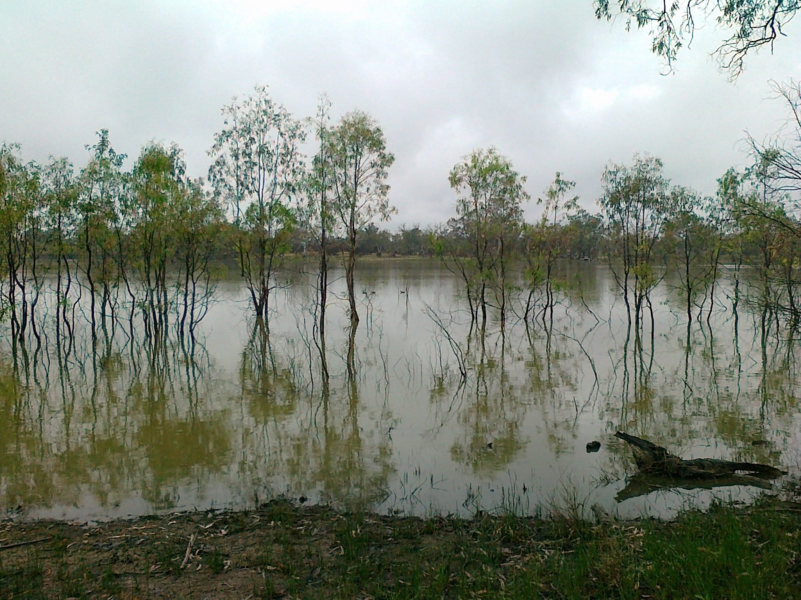 Morgan Conservation Park Campgrounds