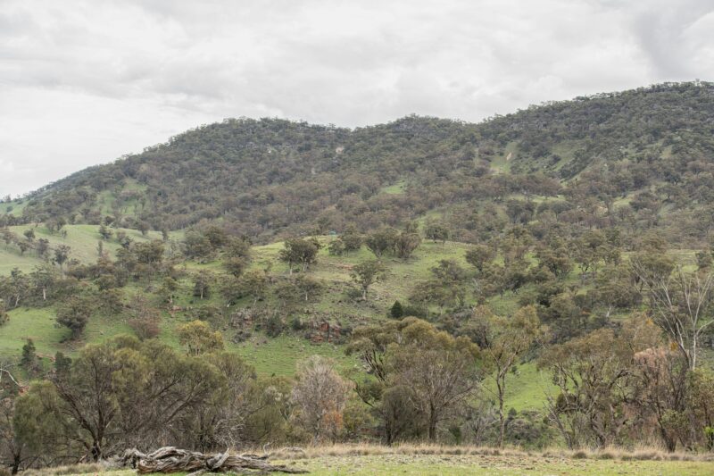 Spectacular view of Mt Brown