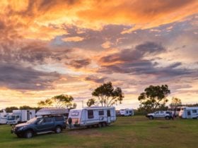 Narrung Ferry Camp Ground