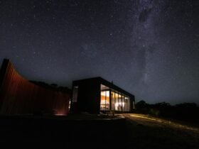 Under millions of stars