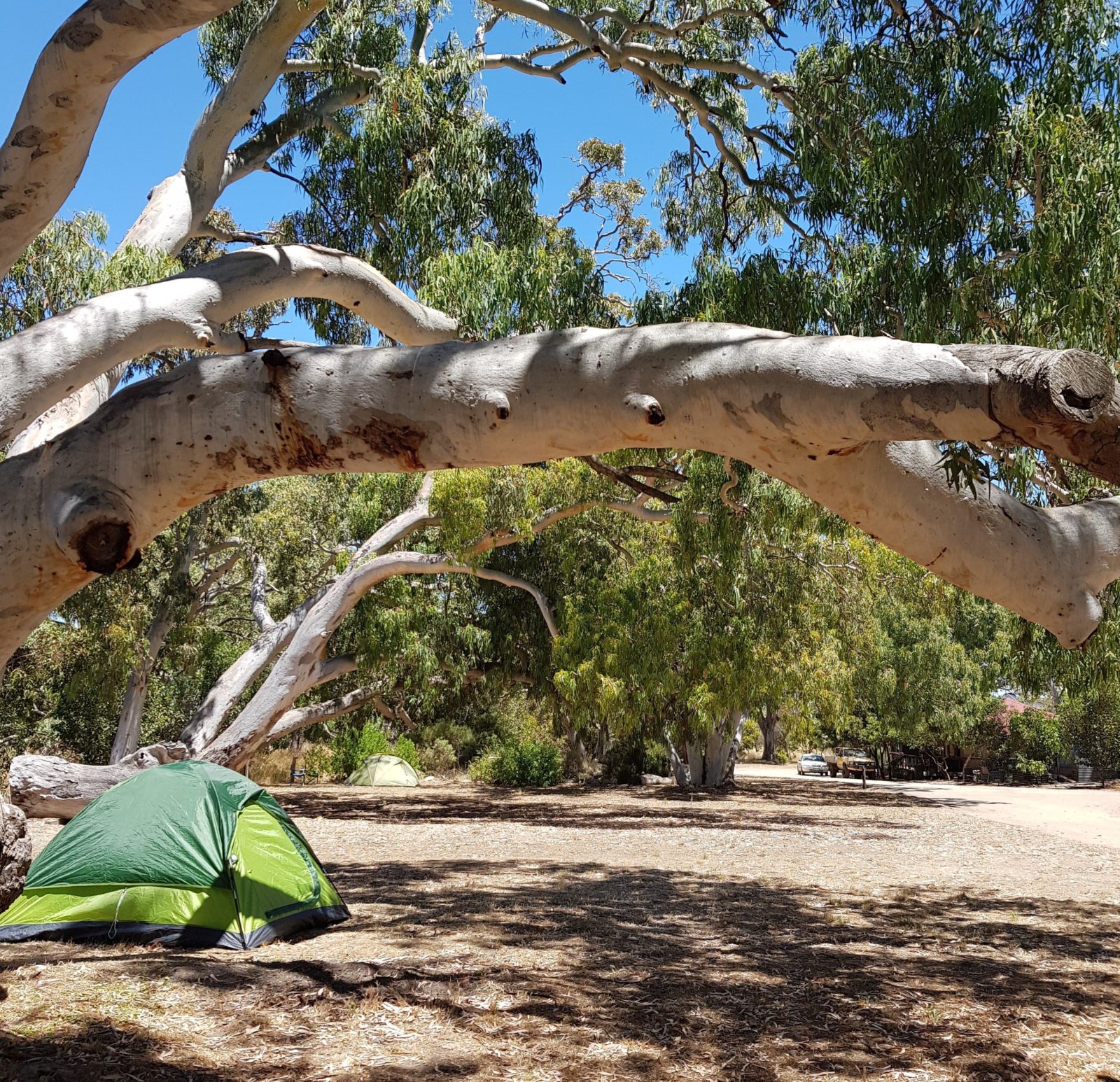 Camp Site