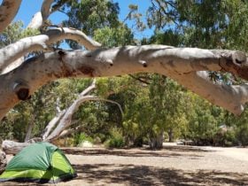 Camp Site