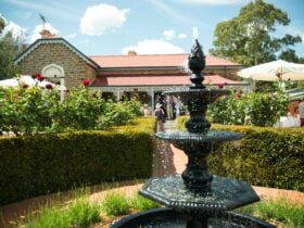 The fountain and house frontage