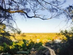 Paringa Pet Friendly Farmstay