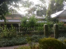 Street view of 8 Catherine St College Park