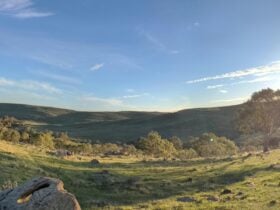 View from the hill.