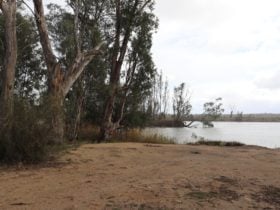 Camping area