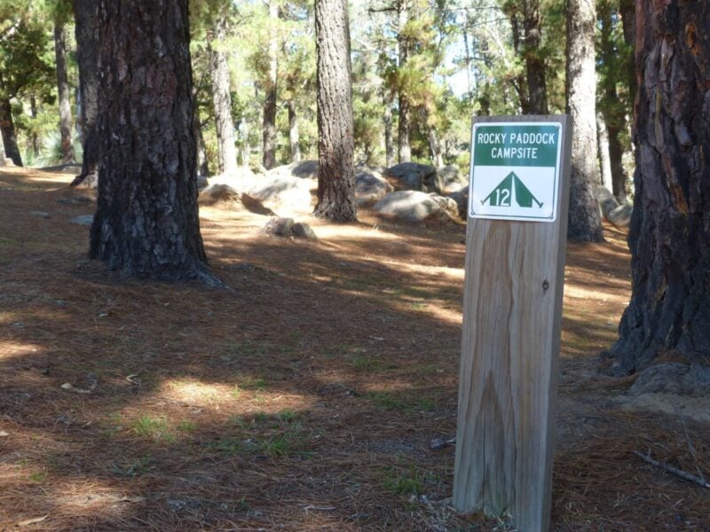 rocky paddock sign
