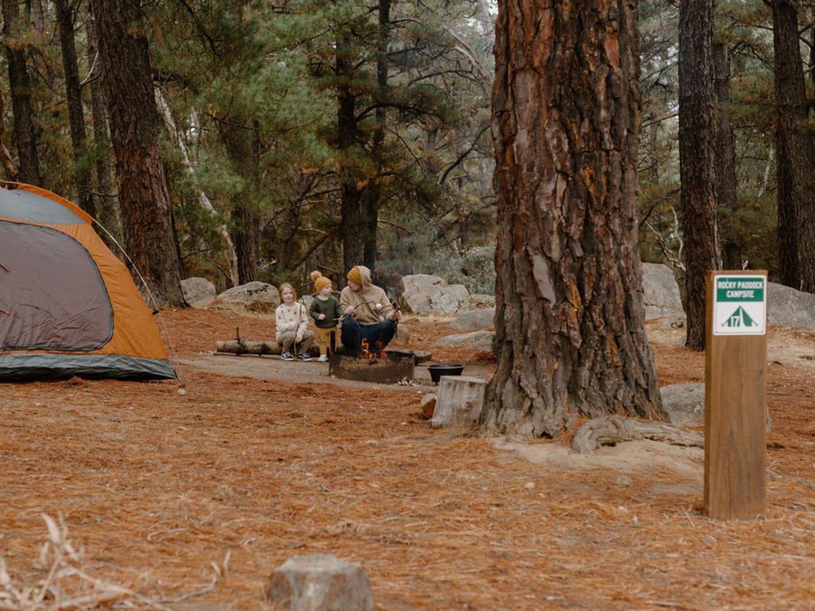 Young Family roasting marshmallows by fire