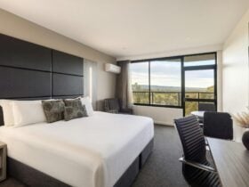Park View King Room