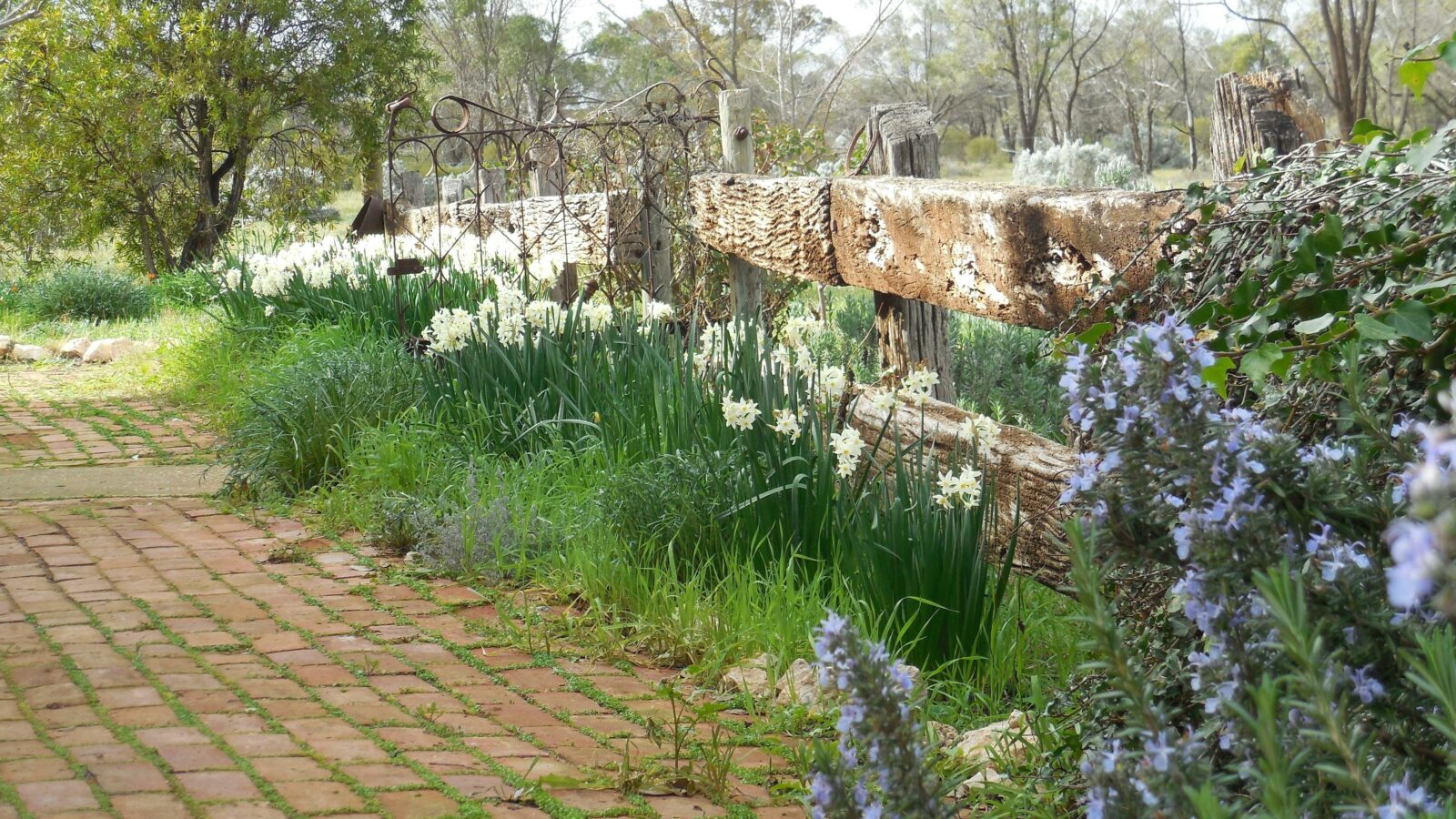 winter garden