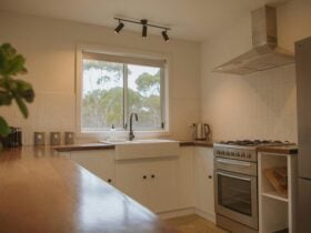 Photo of the open plan kitchen overlooking the bushland beyond.