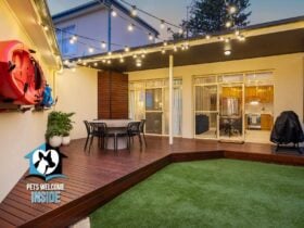 The Rear Patio