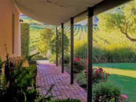 Vineyard views from the front verandah of Seppeltsfield Vineyard Cottage