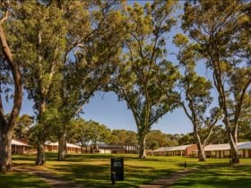 Serafino McLaren Vale