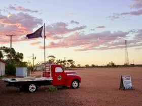 Beautiful sunset with Donald in front and centre