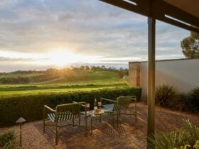 The Louise Vineyard Views