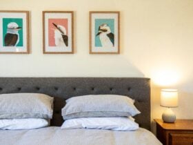 bed with three pictures of Kookaburras each with a coloured background and a lamp on a bedside table