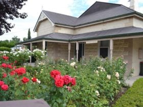 Tin House front yard