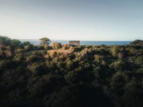 Kangaroo Island