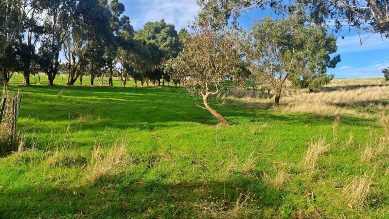 Waitpinga Ridge | Creek Camp Site