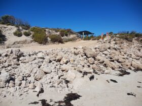 Beach access Walker