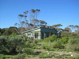 Beach house sitting amongst coastal bushland