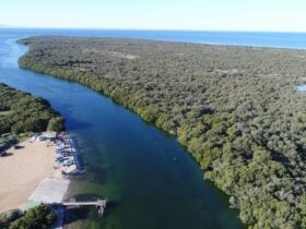 Wills Creek