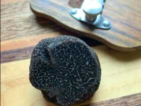 A round, black winter truffle that has been sliced, revealing the marbled interior flesh