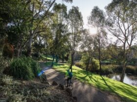 Bonython Park - Tulya Wardli (Park 27)