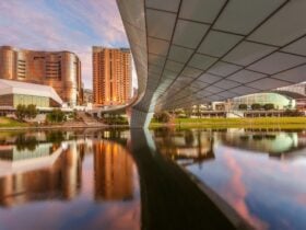Riverbank to city