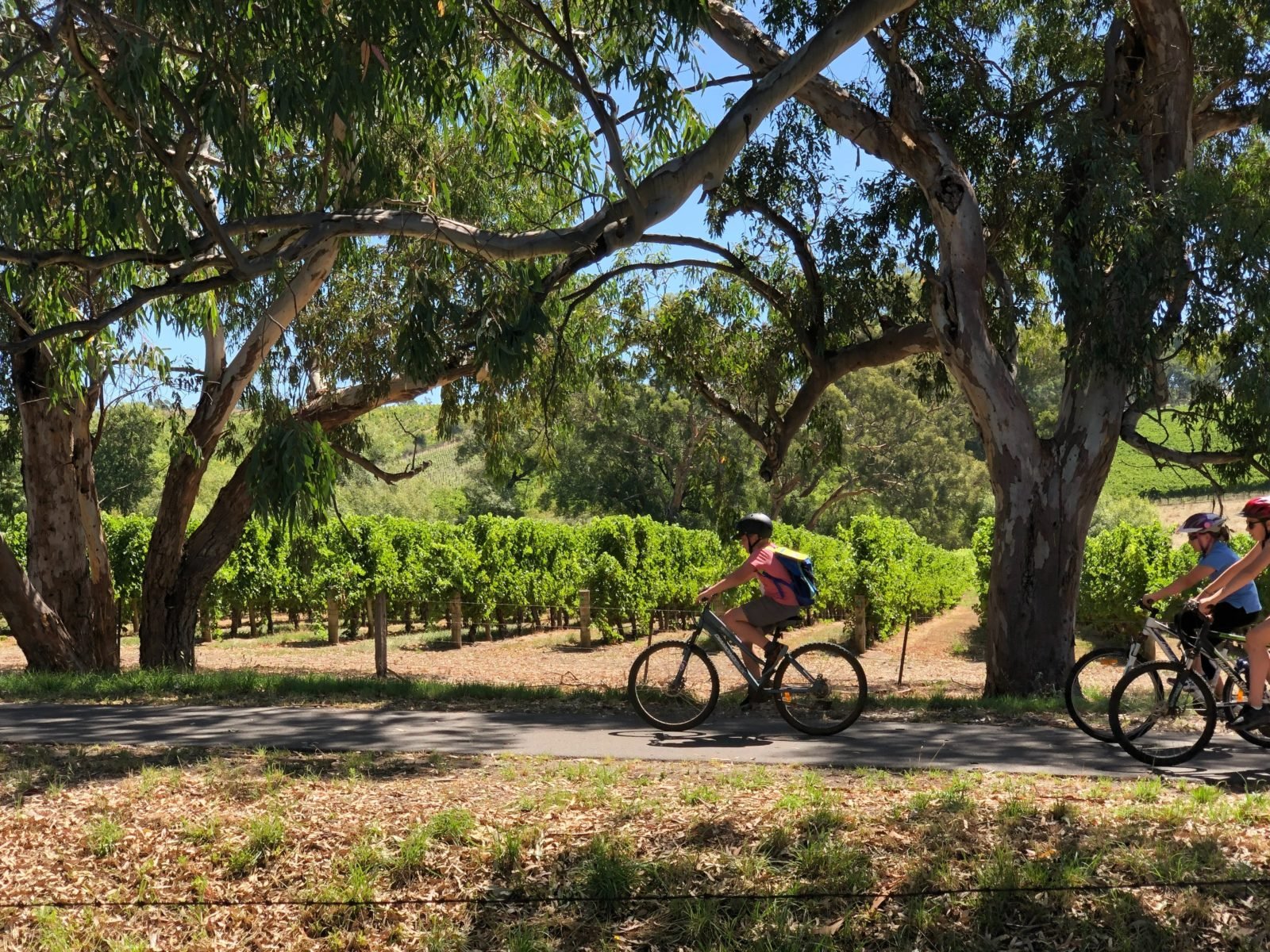 Amy Gillett Pathway, Woodside