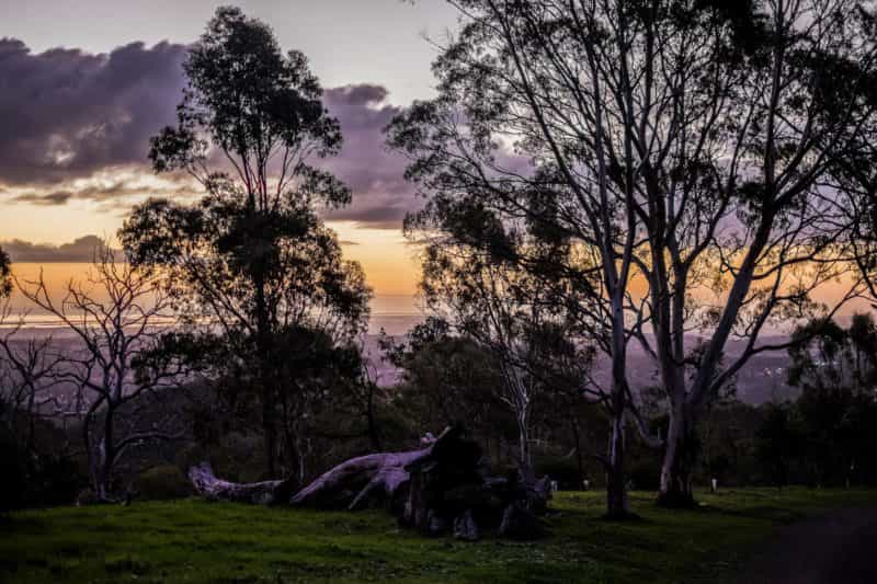 anstey hill recreation park