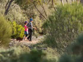 Immerse yourself in nature