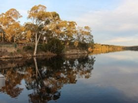The beautiful Barossa Reservoir Reserve