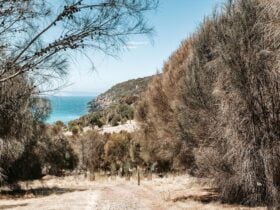 Ironstone Hill Hike