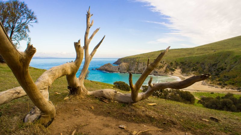 Beautiful views and great walks at blowhole beach