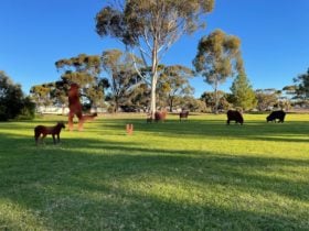 Bute Reserve Sculptures