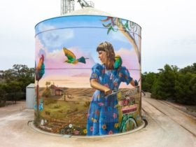 Bute Silo Art
