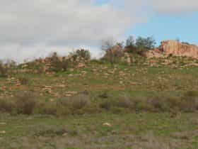 A nice view over Hawker and towards Wilpena Pound from this point.