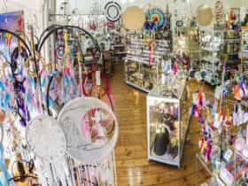 Carpe Diem with Remi-Adelaide Beaches-Tourism