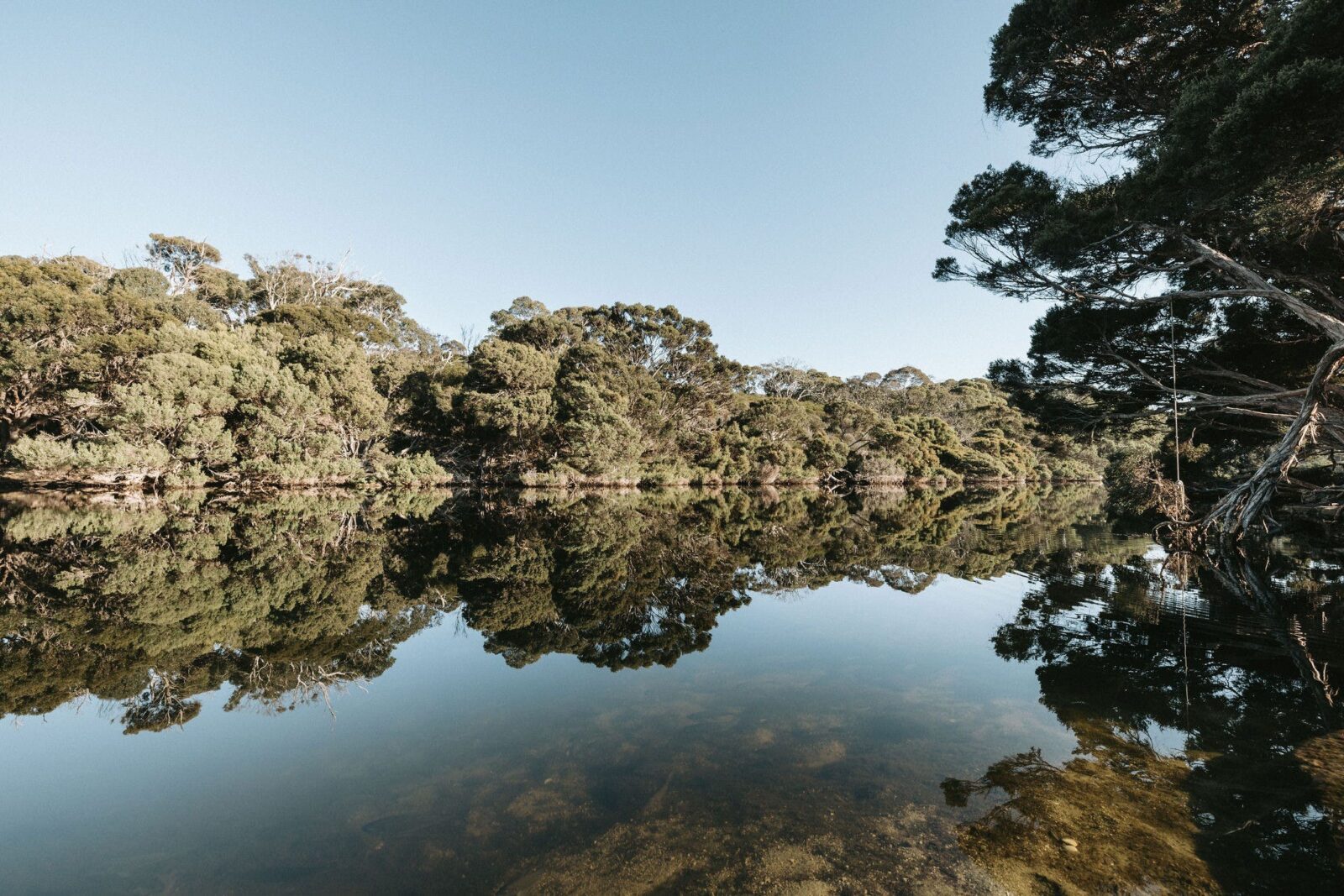 Chapman River