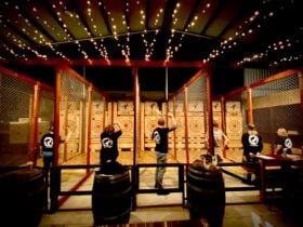 You of our eight axe throwing lanes with people throwing axes