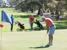 Golfers on Course