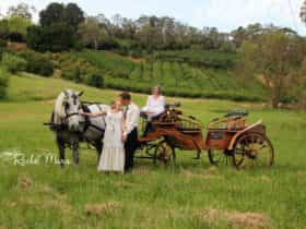 Classic Carriage Drives