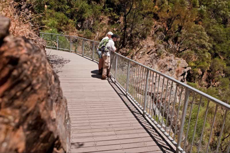 cleland conservation park