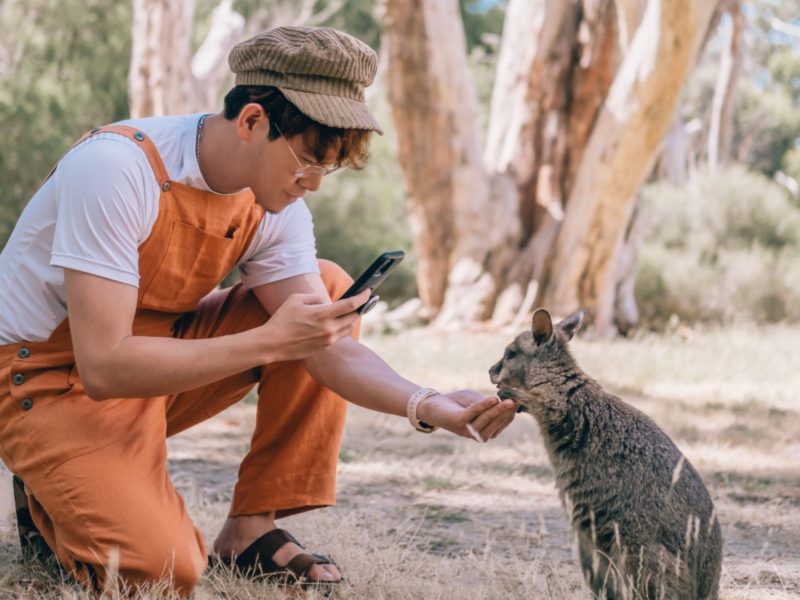 Visitor interacting with joey