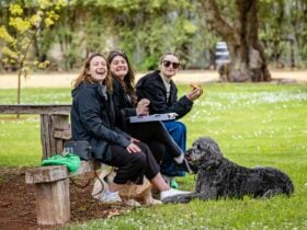 Guests sit in Coonawarra Park with their dogs on the Coonawarra Walking Trail