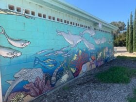 A colourful mural of dolphins, fish, seaweed, and coral beneath a lighthouse scene.